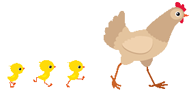 Gif animé, une poule et ses poussins